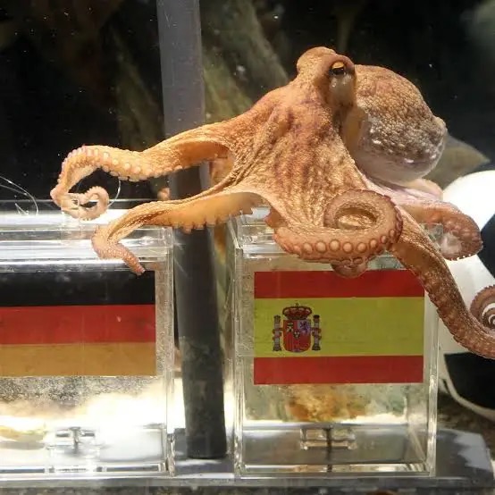Paul the Octopus